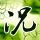 外交部回应日本允许出口杀伤性武器